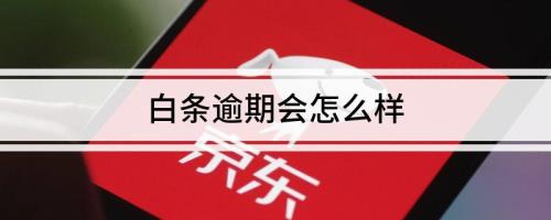 逾期自行负责的意思