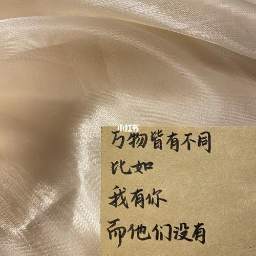 你又会爱我多少文案