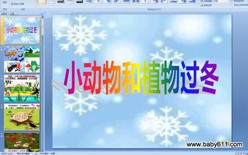 如何观察一种小动物或植物