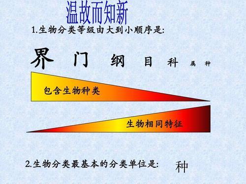 界属纲门目种怎么来区分