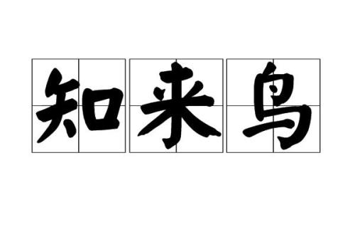 鹊的读音