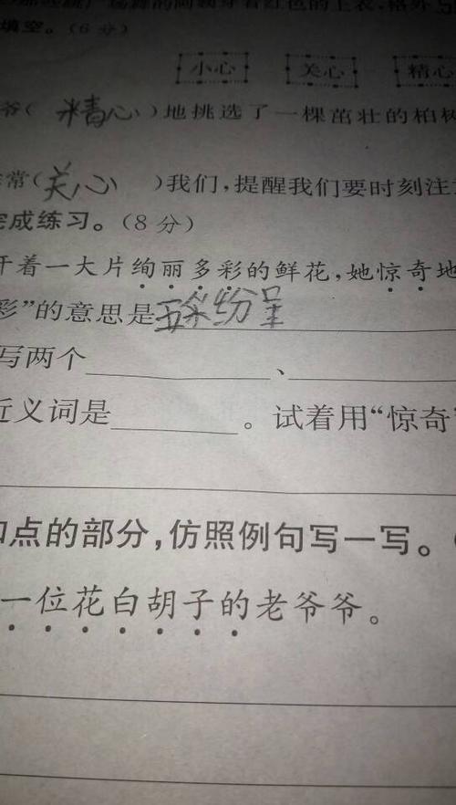 “观注”是什么意思是词语吗