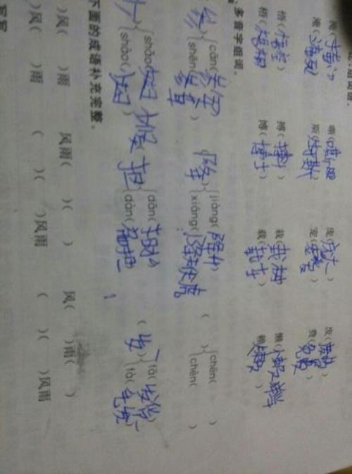 率的组词