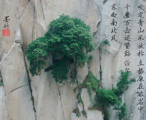 坚忍不拔与坚韧不拔区别