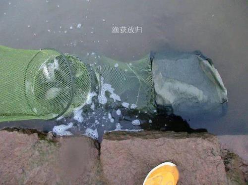 渔获任务怎么触发