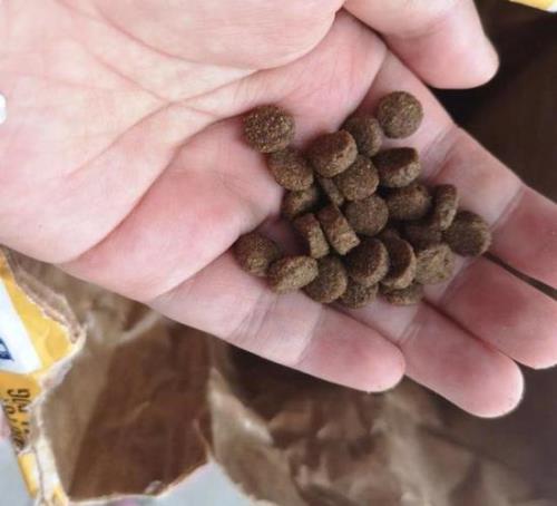 御兽真人值得买吗