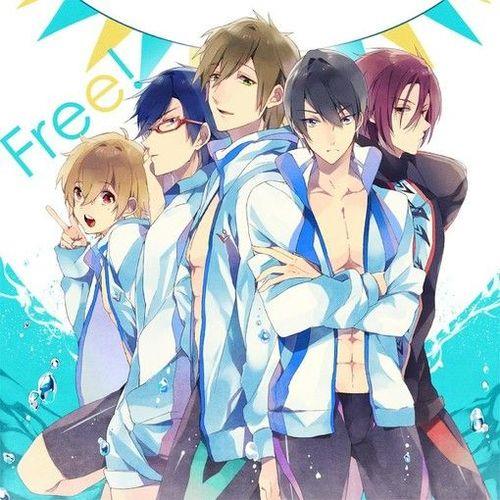 free游泳俱乐部一共几季