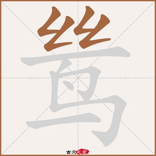 ‘鸟的笔顺笔画顺序