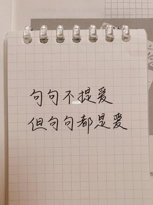 我对先生的喜欢何止钟意出处