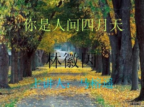 我愿你是人间四月天原唱