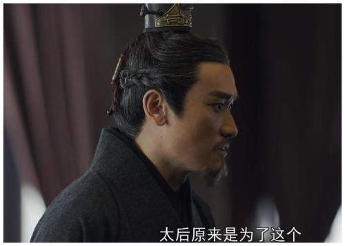 渭阳君嬴傒结局