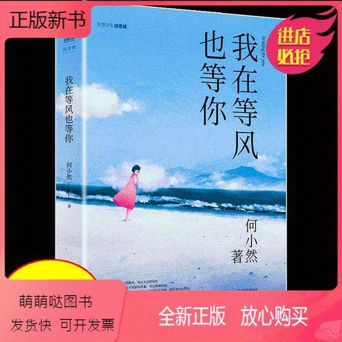 等风也等你是什么意思