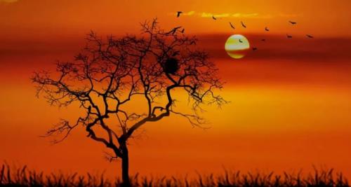 描写夕阳公主诗句