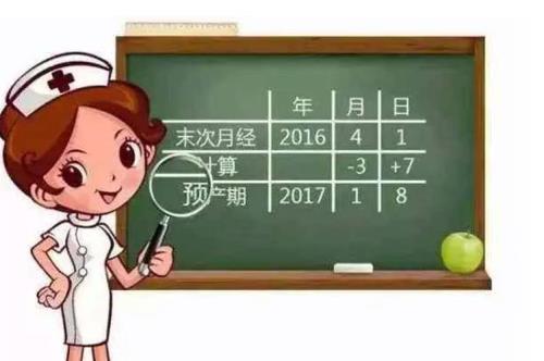 5周零6个月是几天