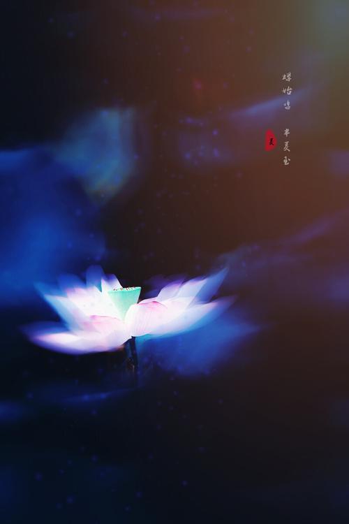 花祭是哪一年出版的