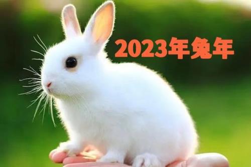马上就2023年了有什么好的句子
