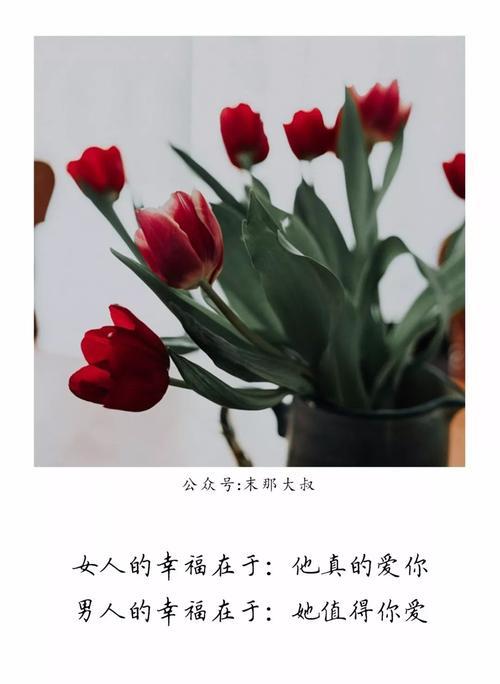 愿你三餐有陪伴四季有人暖