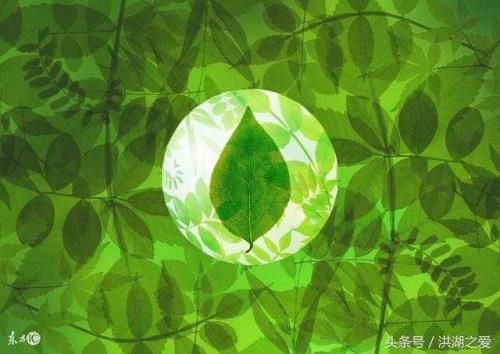 佛香绿色怎么调出来的