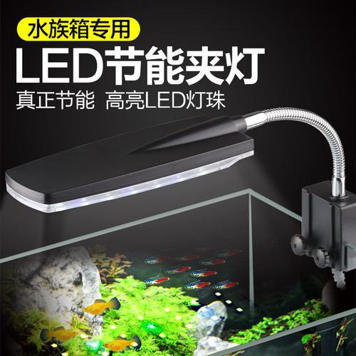 鱼缸灯可以一直开着吗