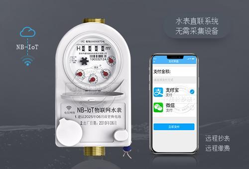 北京智能远传水表准吗
