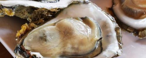 牡蛎肉的清洗方法