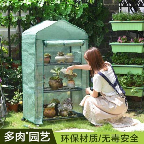 小花棚什么花都可以放吗