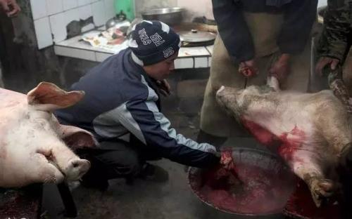 杀猪的技巧
