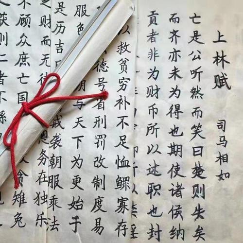 上林赋的流苏咋挂