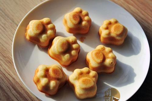 带杏仁片的面包能给猫吃吗