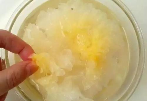 银耳跟雪耳有什么区别