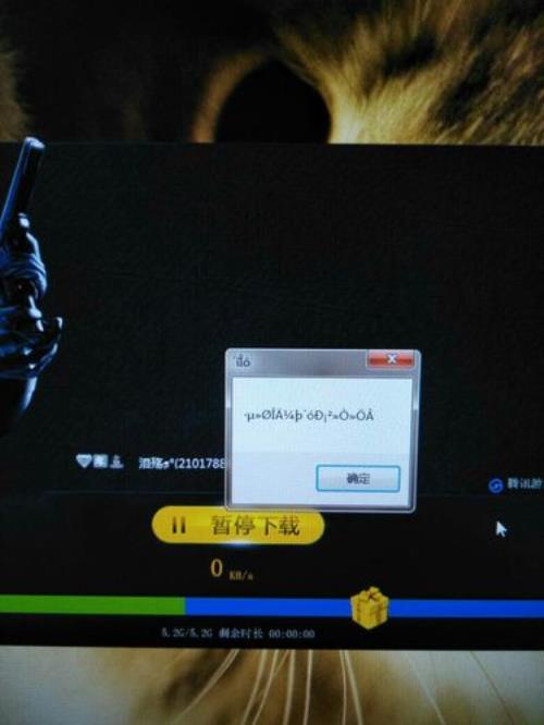 火线英文代表哪个字母