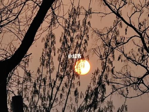 我在凌晨等太阳下一句