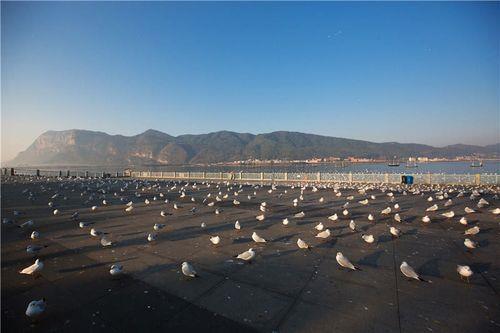 海埂大坝附近停车场费用