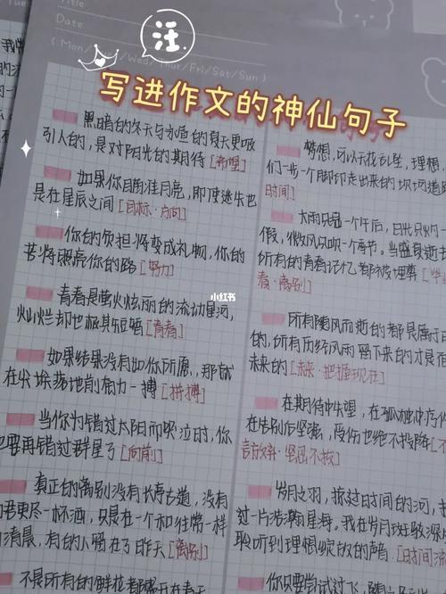 语文书里的神仙句子