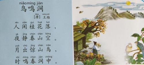 唐诗鸟鸣涧王维诵读