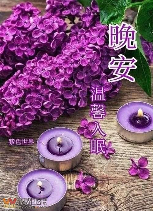 晚安好梦对应的是早安什么