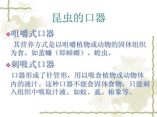 刺吸式口器