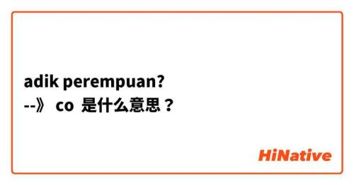 co是什么意思