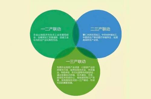 产业发展局隶属什么单位