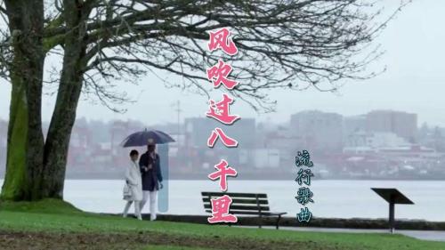歌曲风在等着谁原唱