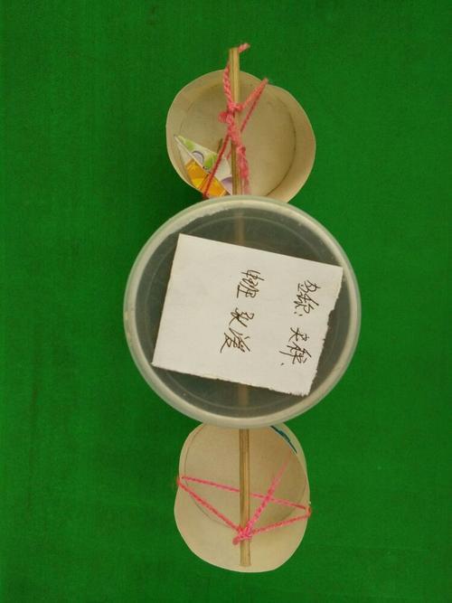怎样制作绿色环保小制作