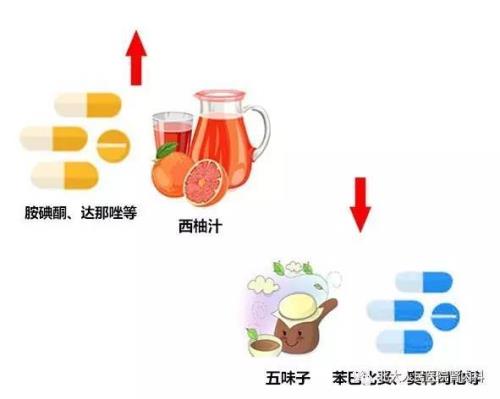 曲奇达素是什么