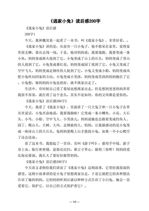 兔子的朋友读后感