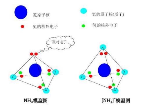 怎么判断极性分子和非极性分子