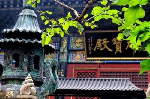 坛经最高境界一句话