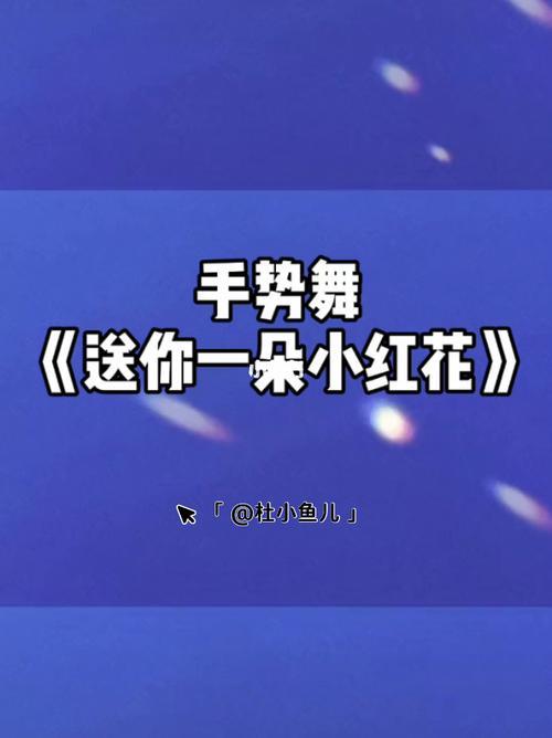 山里小红花是什么歌