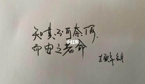 知其不可奈何什么意思