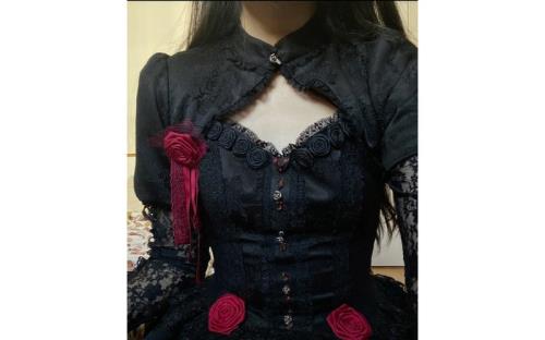 玫瑰骑士女主哪集盛装出席