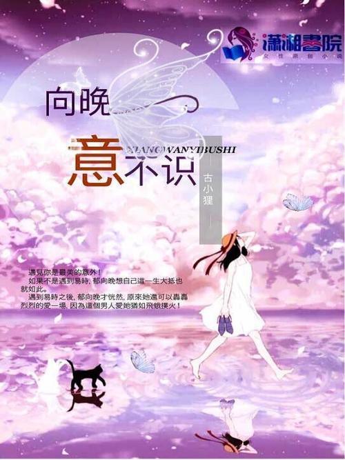 傅寒川向晚小说名字