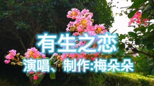 歌曲有生之恋表达了什么